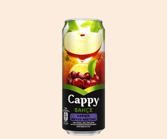 Cappy Karışık (33 Cl.) görseli