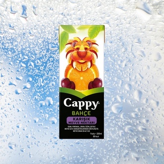 Cappy Karışık (330 Ml) görseli