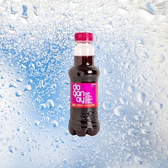 Doğanay Acılı Şalgam (300 Ml) görseli