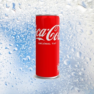 Coca Cola (330 Ml) görseli