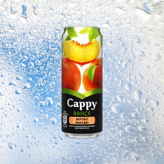 Cappy Şeftali (330 Ml) görseli
