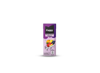 Cappy Karışık 200 Ml görseli