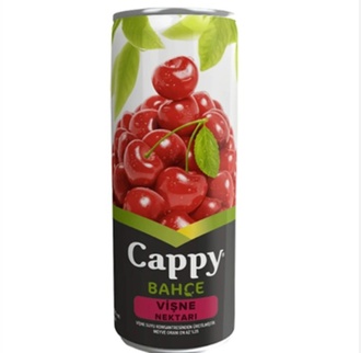 Cappy Vişne (33 Cl) görseli