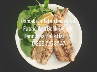 İthal Uskumru görseli