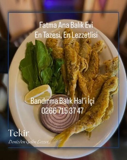 Barbun Tekir görseli