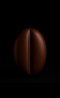 Kahveli Grolet Pasta (Adet) görseli