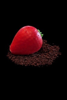 Çilekli Grolet Pasta (Adet) görseli