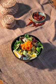 Mevsim Salata görseli