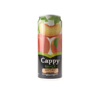 Cappy Şeftali (33 Cl.) görseli