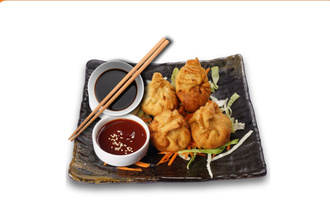 Çıtır Çin Mantısı (4 Pcs.) görseli