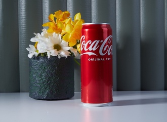 Coca-cola (33 Cl.) görseli