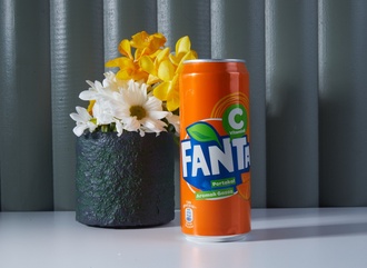 Fanta (33 Cl.) görseli