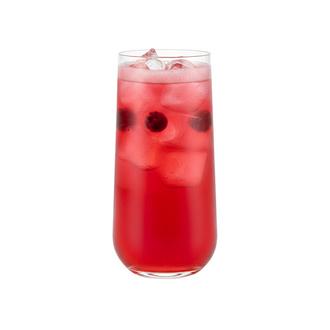 Berry Hibiscus görseli