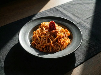 Bolonez görseli