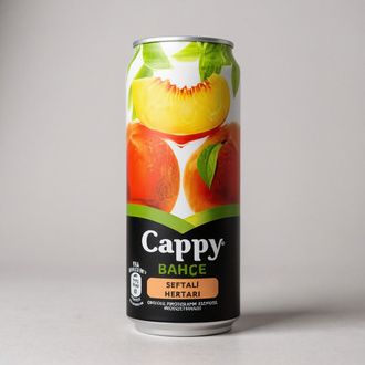 Cappy Kayısı (33 Cc) görseli