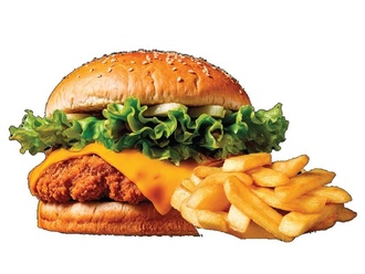 Gurme Tavuk Burger görseli