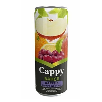 Cappy Karışık Meyve Suyu (33 Cl.) görseli