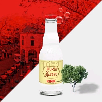 Bursa Gazozu (200 Ml) görseli