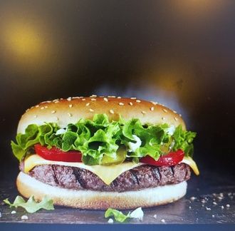 Yeni Moda Hamburger görseli