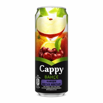 Cappy Karışık Meyve Suyu (33 Cl) görseli