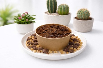 Bowl Klasik Bisküvili Pasta görseli