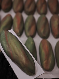 Pistachio Prime görseli