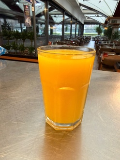 Ev Yapımı Portakal Suyu (200 Ml) görseli