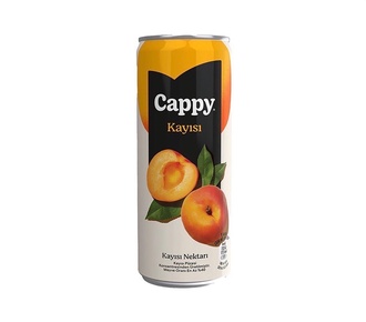 Cappy Kayısı (33 Cl.) görseli