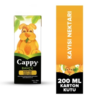 Cayyp Kayısı Nektarı 200 Ml. görseli