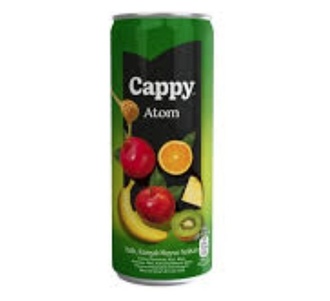 Cappy Atom İçecek 330 Ml görseli