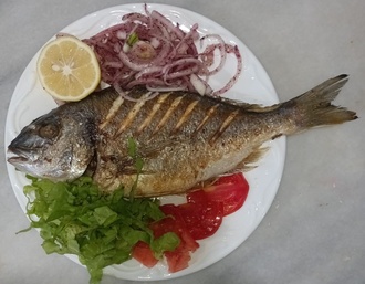 Izgara Çipura (450-600Gr.) görseli