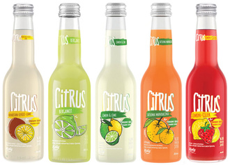 Citrus Limon-lime görseli