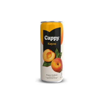 Cappy Kayısı (33 Cl.) görseli