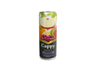 Cappy Meyve Suyu (33 Cl.) görseli
