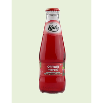 Orman Meyveli Maden Suyu (200 Ml) görseli
