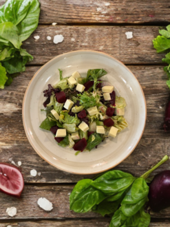 Pesto Gouda Salata görseli