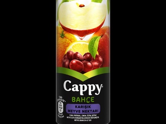 Cappy Karışık (33 Cl.) görseli
