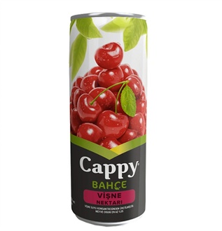 Cappy Şeftali (33 Cl.) görseli