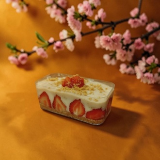 Çilek Magnolia görseli