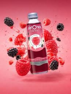 Avoya Blend Limon & Vişneli Meyveli Doğal Maden Suyu görseli