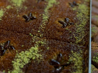 Fıstıklı Kadayıf (250 Gr.) görseli