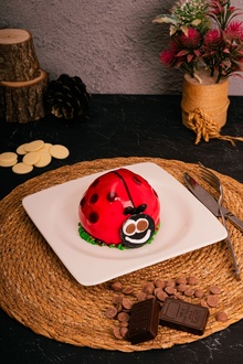 Uğur Böceği (Adet) görseli