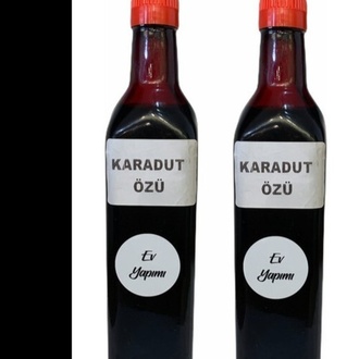 Karadut Özü görseli
