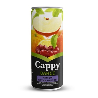 Cappy Karışık (33 Cl.) görseli