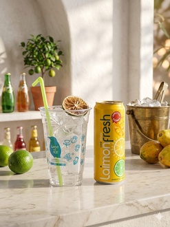 Laimon Fresh Mango (330 Ml) görseli