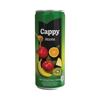 Cappy Atom (33 Cl.) görseli