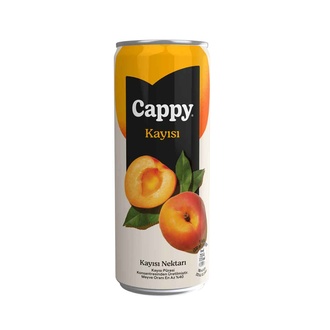 Cappy Kayısı (33 Cl.) görseli