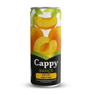 Cappy Kayısı (33 Ml.) görseli