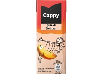 Cappy Şeftali (20 Cl.) görseli