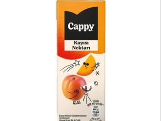 Cappy Kayısı (20 Cl.) görseli